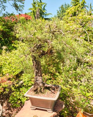 Elandan Gardens