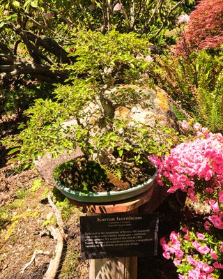 Elandan Gardens