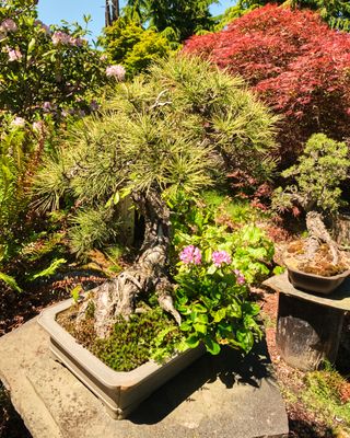 Elandan Gardens