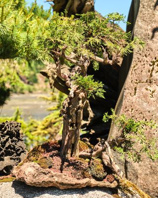 Elandan Gardens