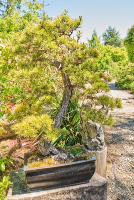 Elandan Gardens