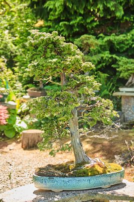 Elandan Gardens