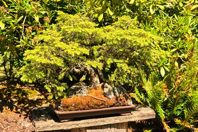 Elandan Gardens