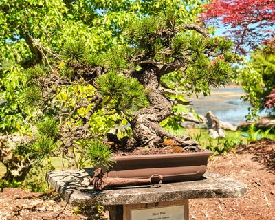 Elandan Gardens
