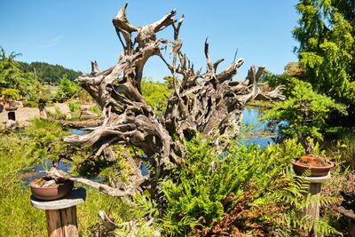 Elandan Gardens