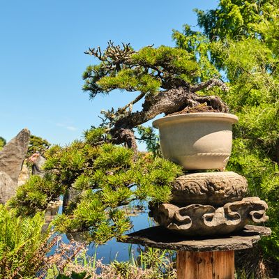 Elandan Gardens