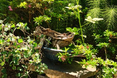 Elandan Gardens