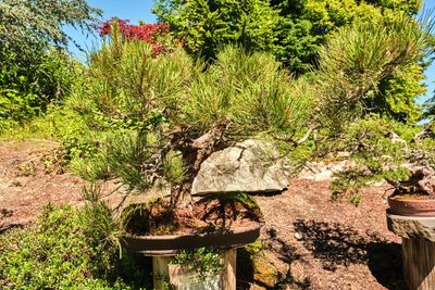 Elandan Gardens