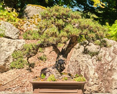 Elandan Gardens