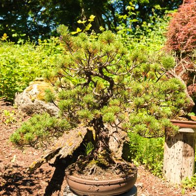 Elandan Gardens