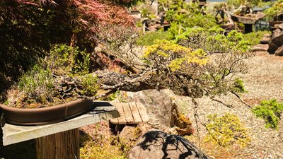 Elandan Gardens