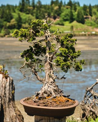 Elandan Gardens