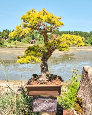 Elandan Gardens