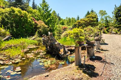 Elandan Gardens