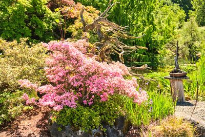Elandan Gardens