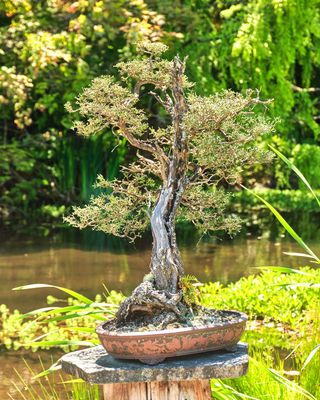 Elandan Gardens