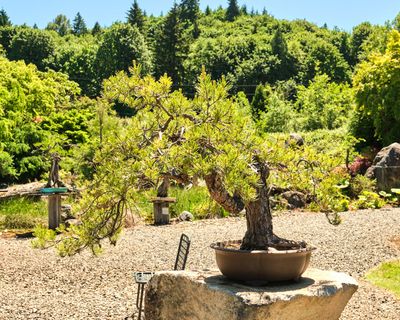 Elandan Gardens