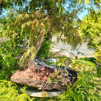 Elandan Gardens