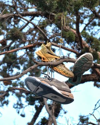 Shoe Tree - Bend, Formerly Redmond