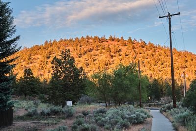 Pilot Butte State Scenic Viewpoint