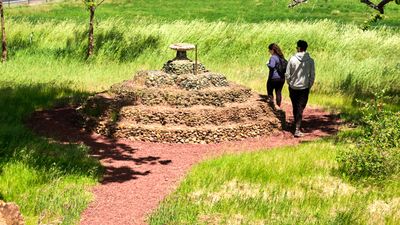Petersen Rock Garden