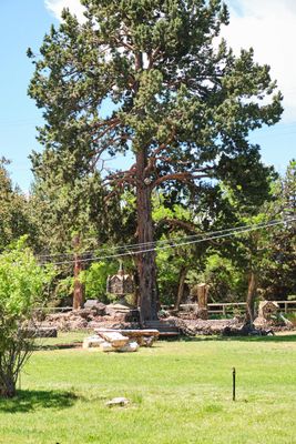 Petersen Rock Garden