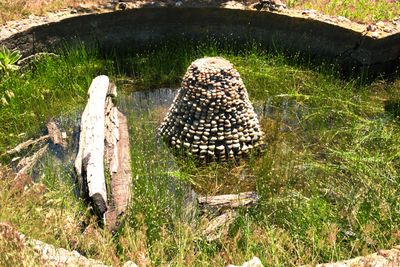 Petersen Rock Garden
