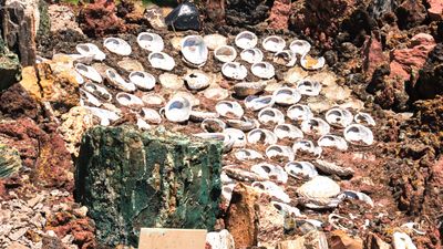 Petersen Rock Garden