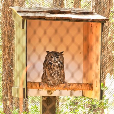 High Desert Museum