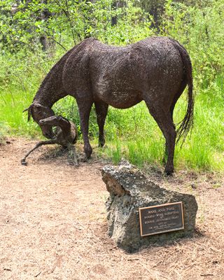 High Desert Museum