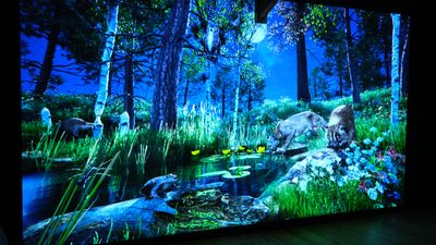 High Desert Museum