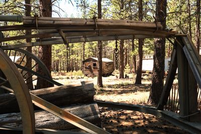 High Desert Museum
