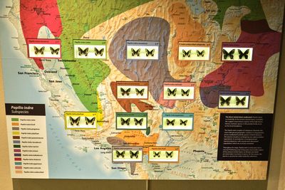 High Desert Museum