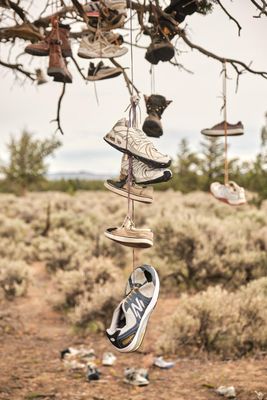 Shoe Tree - Alfalfa
