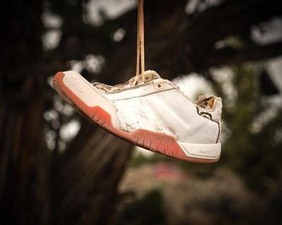 Shoe Tree - Alfalfa