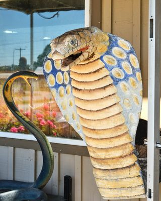 Reptile Zoo