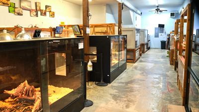 Reptile Zoo