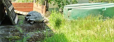 Reptile Zoo