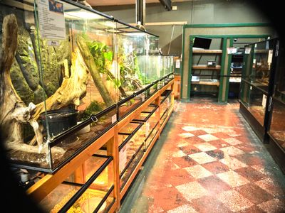 Reptile Zoo
