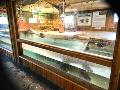 Reptile Zoo