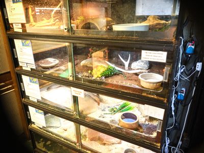 Reptile Zoo