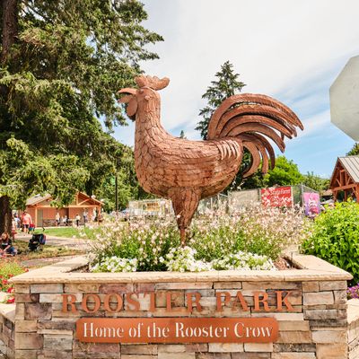 Rooster Crow Contest