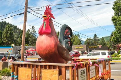 Rooster Crow Contest