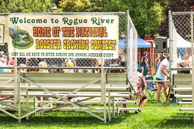 Rooster Crow Contest