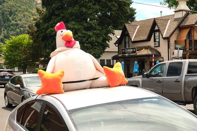 Rooster Crow Contest