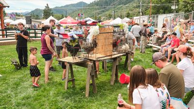 Rooster Crow Contest
