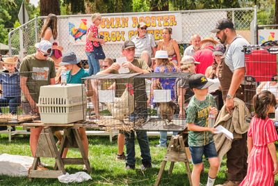 Rooster Crow Contest