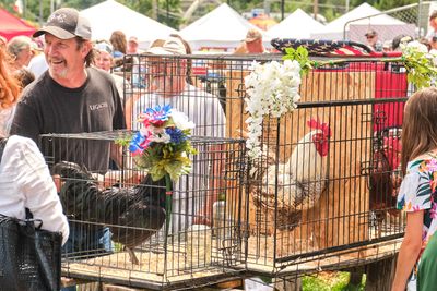 Rooster Crow Contest