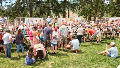 Rooster Crow Contest