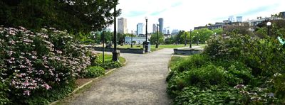 Cal Anderson Park